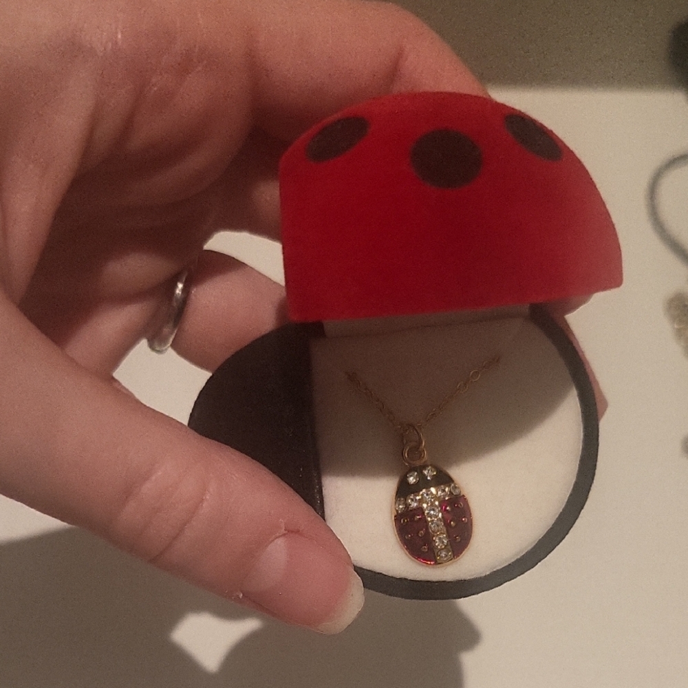 Gold and Red Ladybug Pendant Necklace